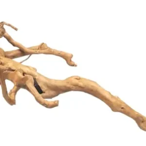 Dostępne od ręki Korzeń Red Moor Wood 016 45x19x21 cm 0,24kg